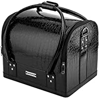 AMASAVA Maletín Maquillaje- Estuche de Maquillaje- Estuche de cosméticos- 29 x 24 x 24 cm- PVC- 4 bandejas- Negro Puro